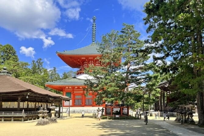Kyoto to Mt. Koya One Day Walking Tour - Accessibility and Restrictions