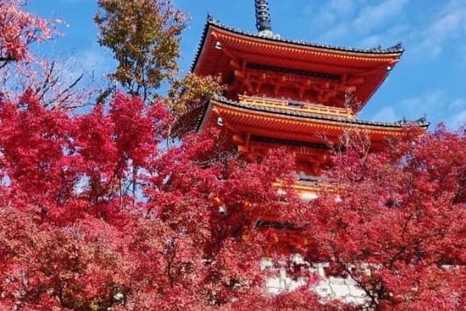 Kyoto Tour 12 Hours Private Nagoya Pick up Available - Key Points