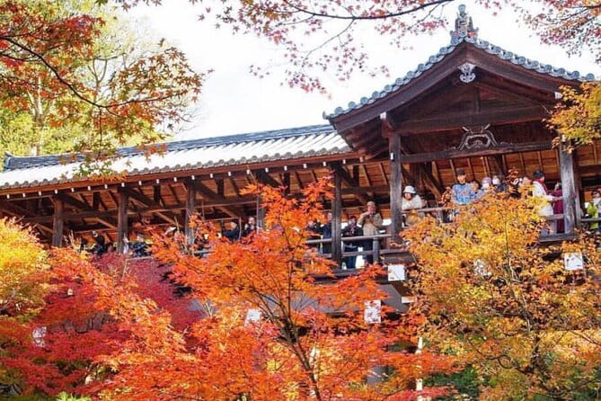 Kyoto Tour 12 Hours Private Nagoya Pick up Available - Inclusions