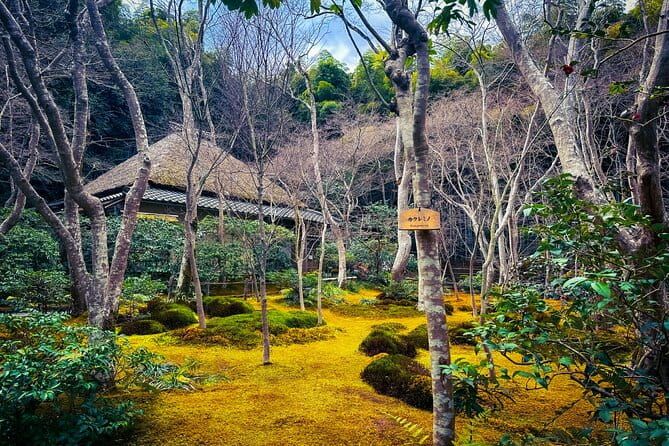 Kyoto Tour by Private Van - Private Bamboos & Fushimi Red Gates - Tour Experience and Highlights