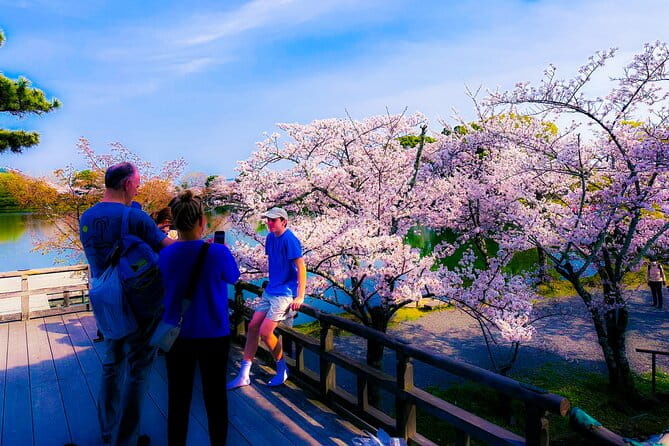 Kyoto Tour by Private Van - Private Bamboos & Fushimi Red Gates - Reviews and Feedback