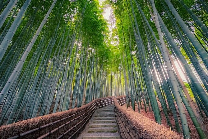 Kyoto Tour by Private Van - Private Bamboos & Fushimi Red Gates - Exploring Kyotos Hidden Gems