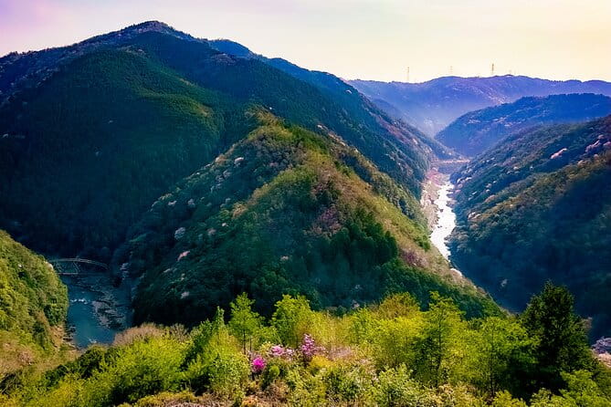 Kyoto Tour by Private Van - Private Bamboos & Fushimi Red Gates - Discovering the Fushimi Inari Shrine