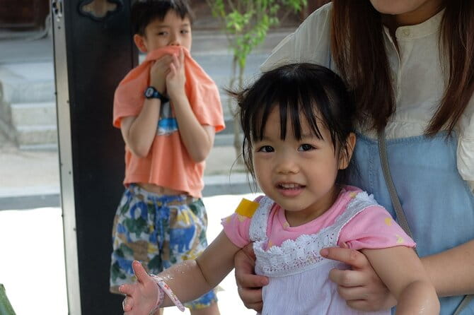 Kyoto Tour Local and Major Highlights - Strolling Through Historic Districts