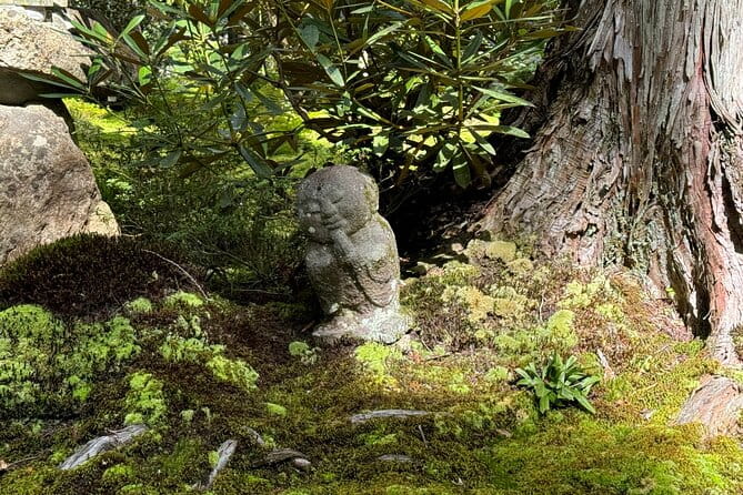 Kyoto: Tranquil Escape to Ohara Satoyama and Sanzen-in Temple - Meeting and Pickup Details
