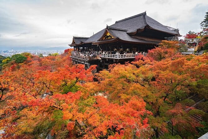 Kyoto & Uji: Full Day Sightseeing Tour From Osaka or Kyoto - Accessibility Information
