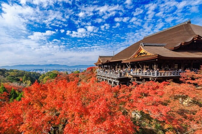 Kyoto & Uji: Full Day Sightseeing Tour From Osaka or Kyoto - Tips for a Memorable Experience