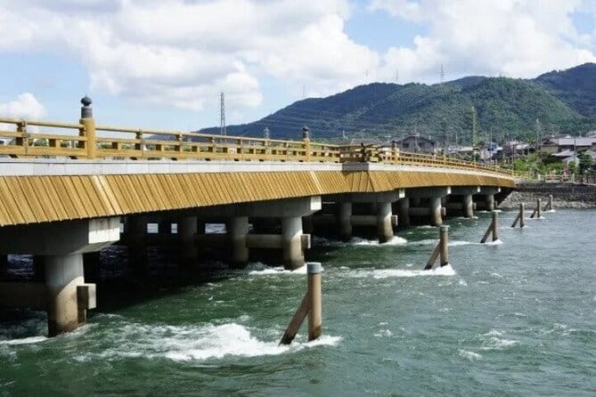 Kyoto Uji Tea Picking and Byodo in Temple Private Tour - Accessibility and Participation Guidelines