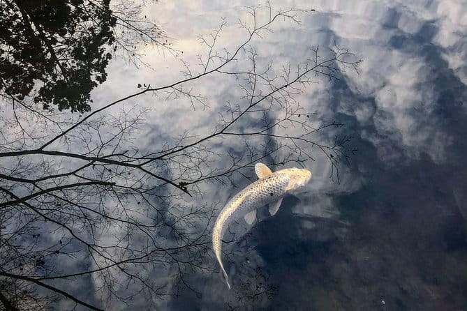 Kyoto: Zen Garden, Zen Mind (Private) - Connecting With Japanese Culture and History