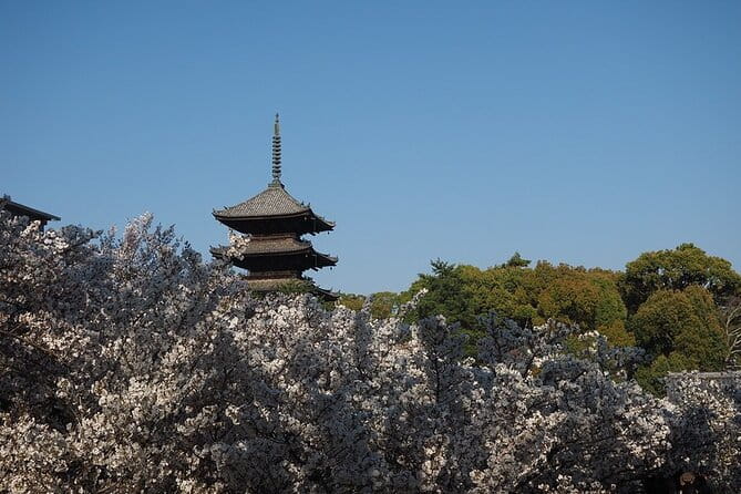 Kyotos World Heritage Walking Tour From Kyoto St. - Meeting and End Point