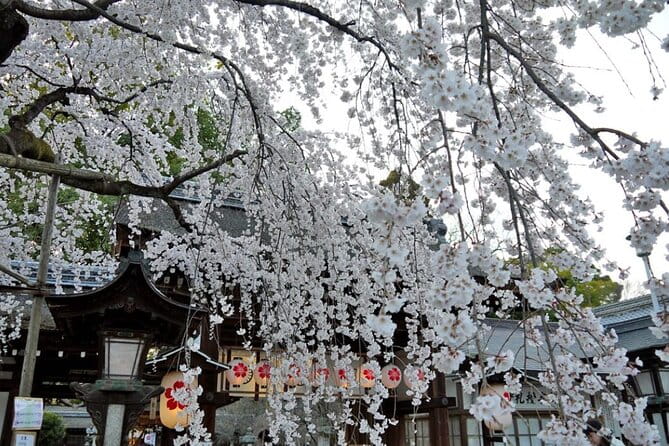 Kyotos World Heritage Walking Tour From Kyoto St. - Important Policies and Responsibilities