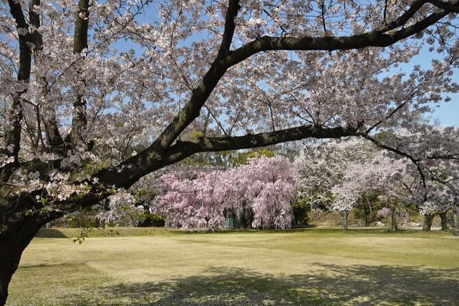 Kyotos World Heritage Walking Tour From Kyoto St. - Highlights of the Tour