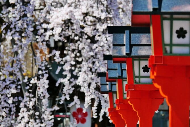 Kyotos World Heritage Walking Tour From Kyoto St. - What to Expect on the Tour