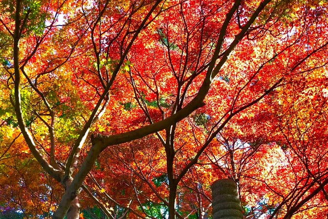 Kyushu Highlights Tour From Fukuoka - Key Points