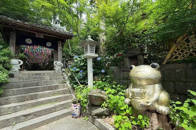 Kyushu Highlights Tour From Fukuoka - Important Notes