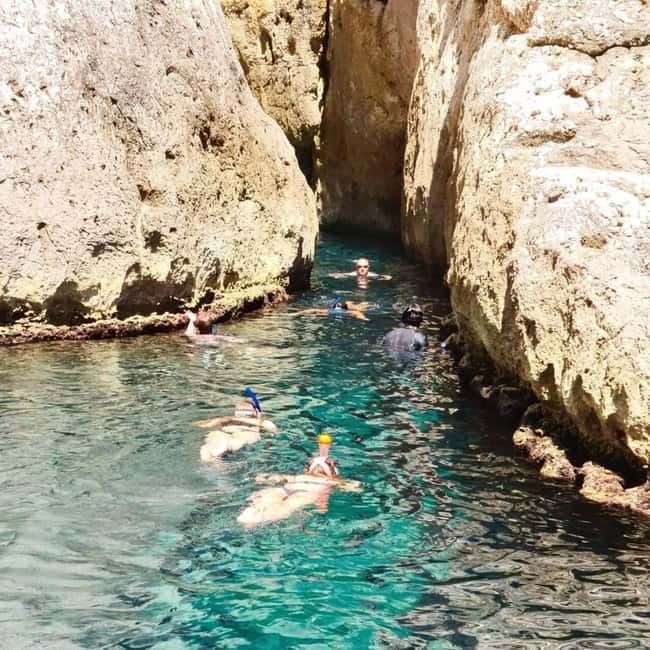 La Ciotat: Boat Tour in the Calanques with swimming - Swimming and Snorkeling: The Highlight