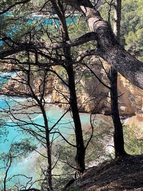 La Ciotat: Boat Tour to Cove of Var / Embiez and swimming - Final Thoughts