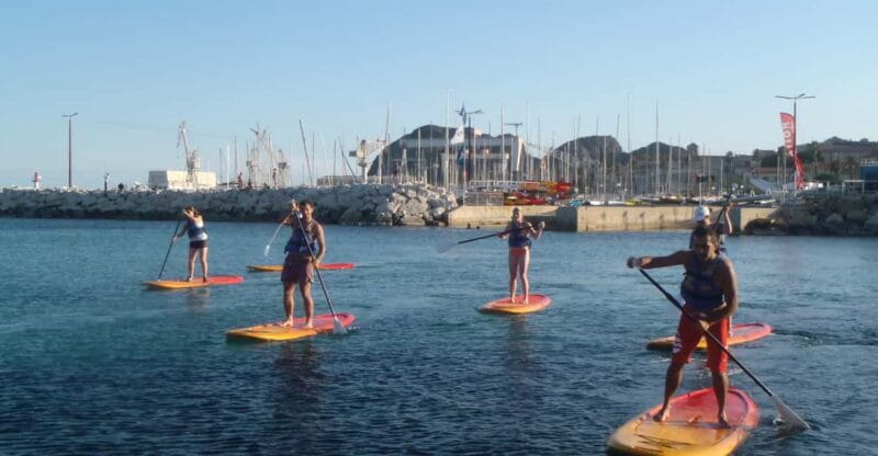 La Ciotat: Calanques National Park Stand-Up Paddleboard Tour - Price and Logistics: Good Value in a Beautiful Setting