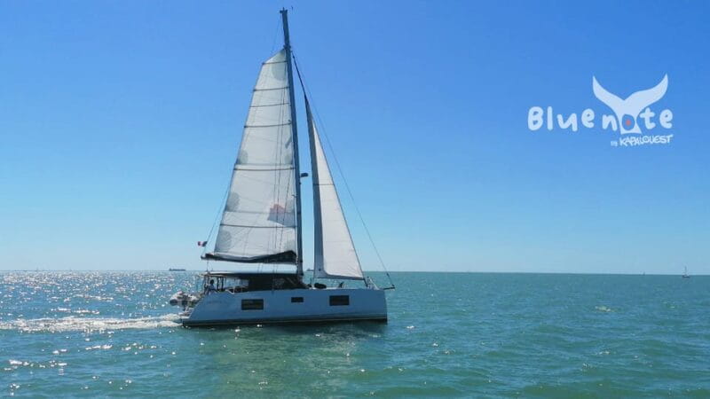 La Flotte, Ile de Ré: Sailing Catamaran Cruise - Key Points / Takeaways