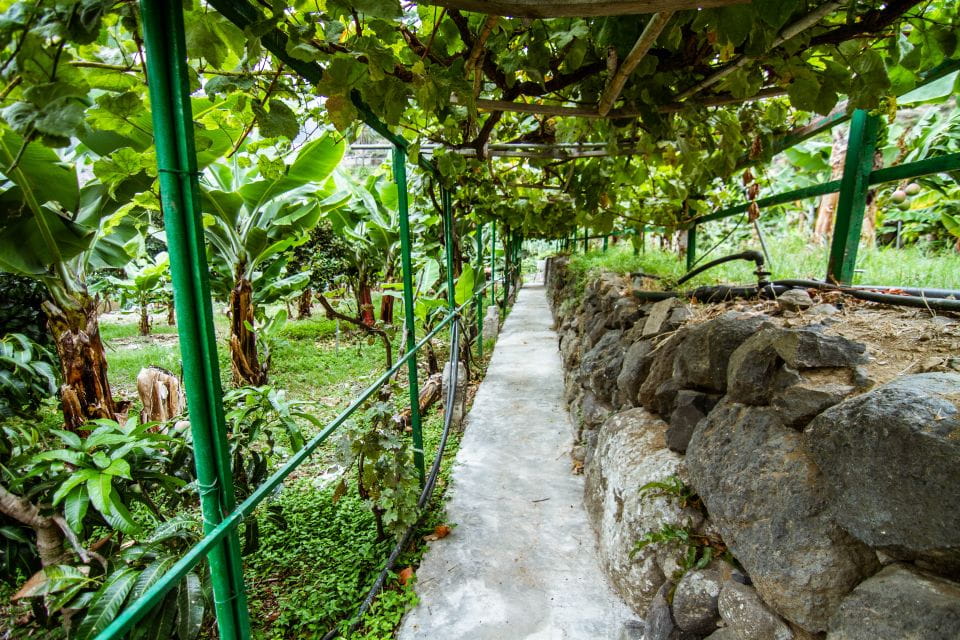 La Gomera: Entry Ticket for The Ethnographic Park - Visitor Requirements and Information