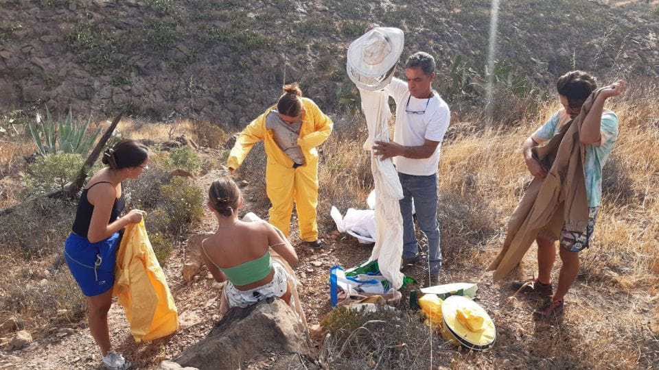 La Gomera: Flower Guided Tour With Butterflies and Bees - Key Points