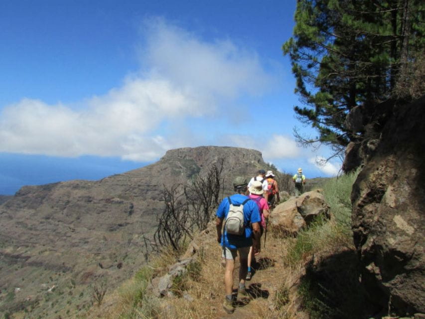 La Gomera: Flower Guided Tour With Butterflies and Bees - Unique Experience Highlights