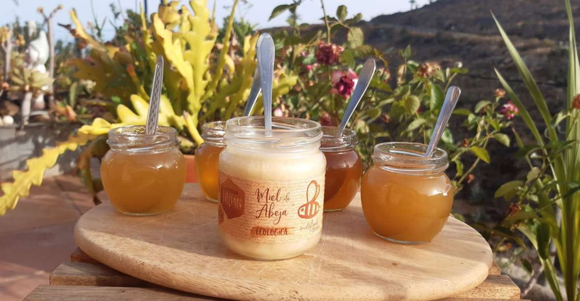 La Gomera: Flower Guided Tour With Butterflies and Bees - Itinerary Details