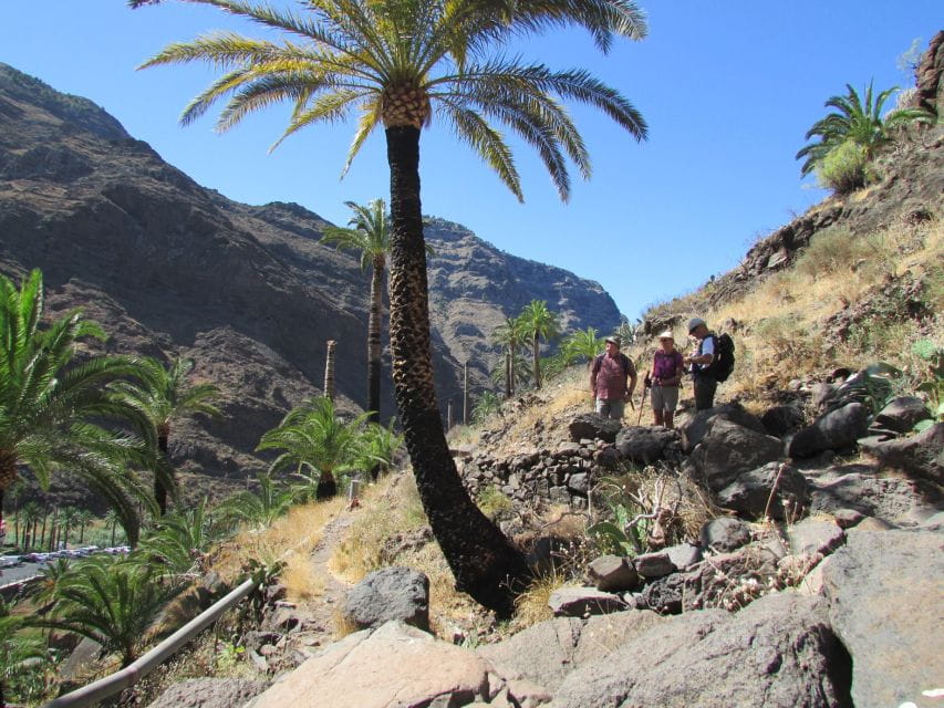 La Gomera: Flower Guided Tour With Butterflies and Bees - What to Bring