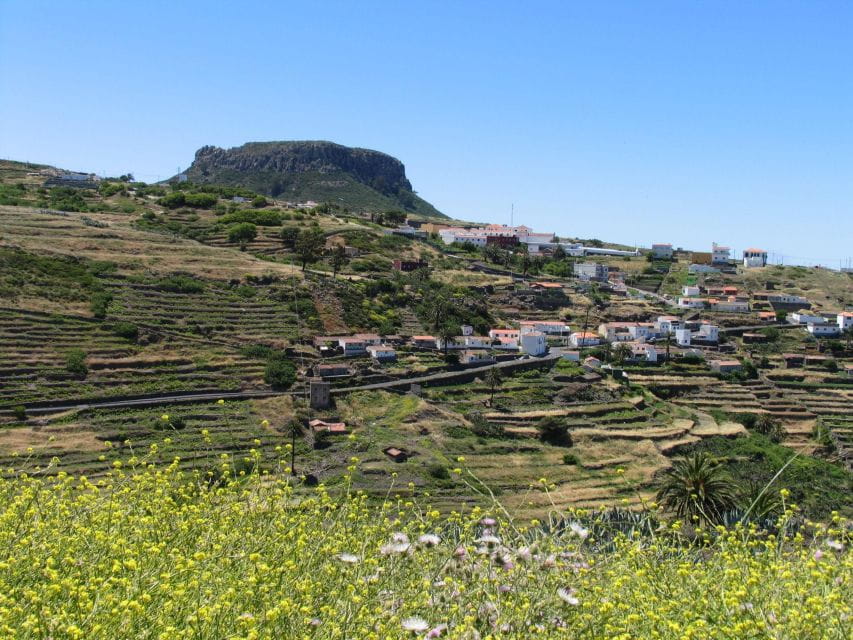 La Gomera: Guided Hiking Tours From Valle Gran Rey - Key Points