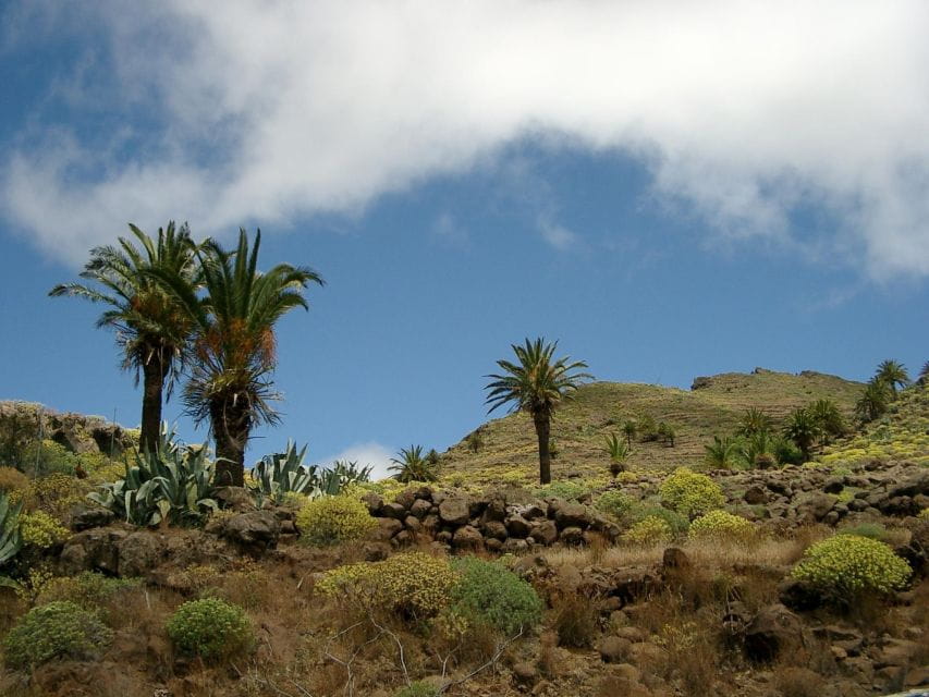 La Gomera: Guided Hiking Tours From Valle Gran Rey - Hiking Experience