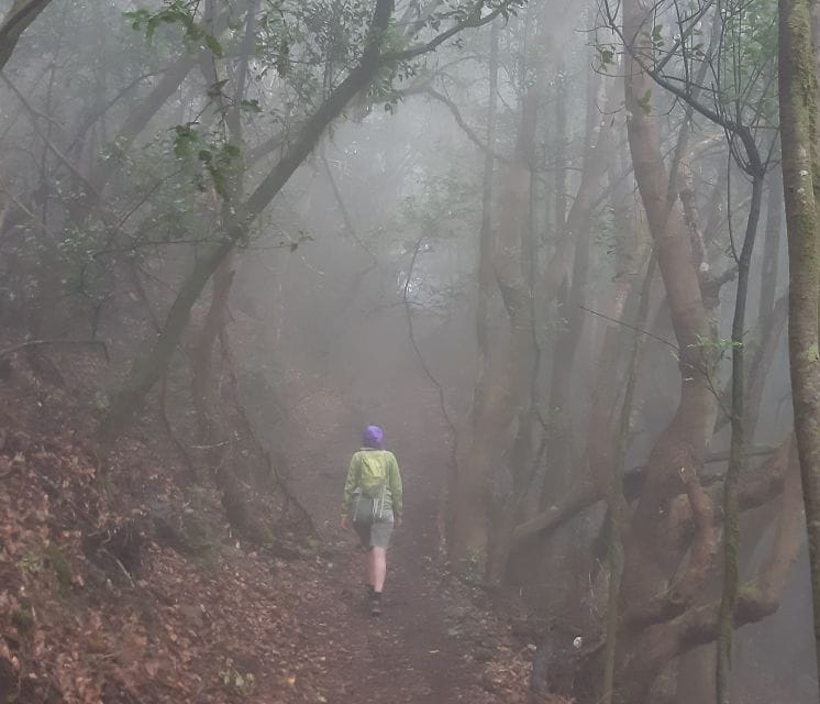 La Gomera: Hiking in the Mystical Garajonay National Park - Itinerary Details
