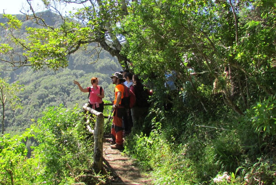 La Gomera: Hiking in the Mystical Garajonay National Park - Things To Know