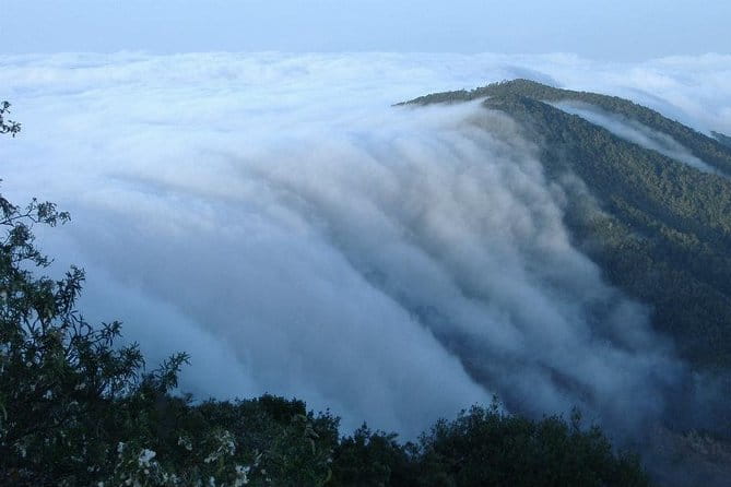 La Gomera Island Tour - Transportation, Timing, and Who This Tour Is Best For