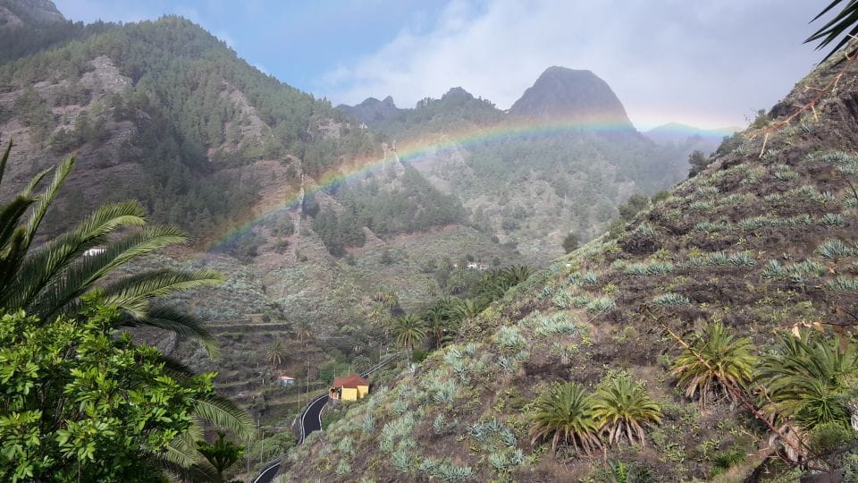 La Gomera Rural Life Experience: Mojo Workshop - What to Expect