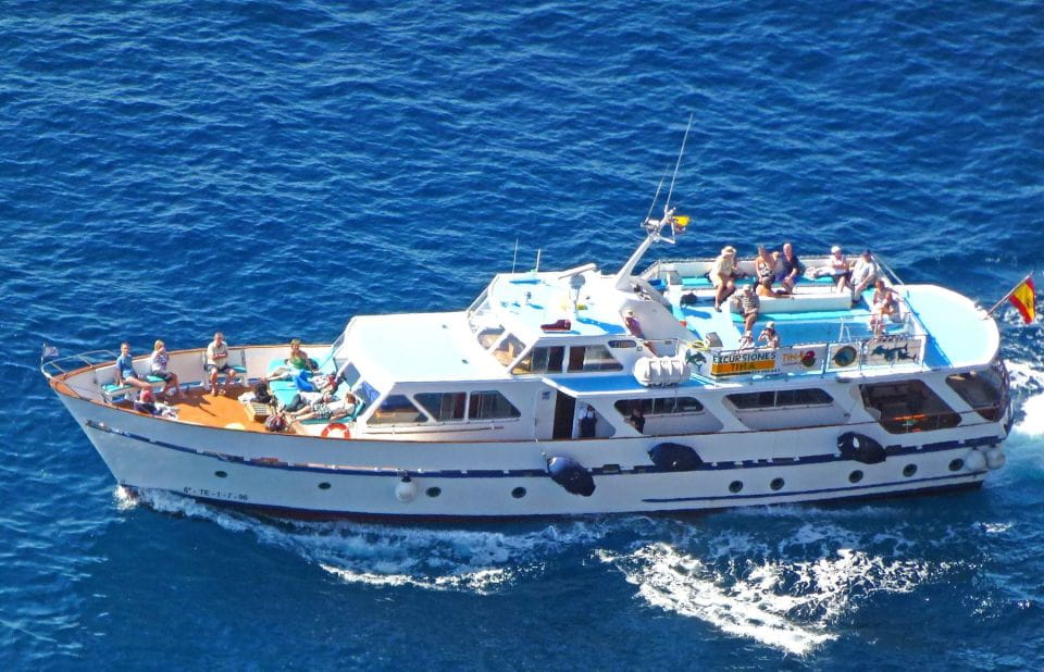 La Gomera: Whale Watching Tour on a Vintage Boat - Experience Highlights