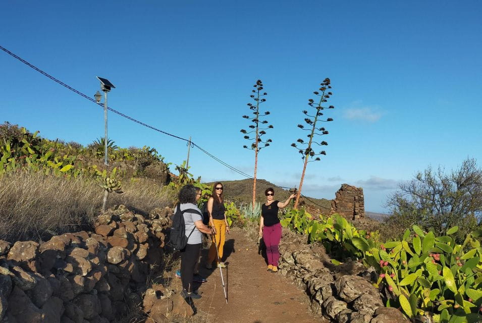 La Gomera: Winery Visit and Tasting Tour - Itinerary Highlights