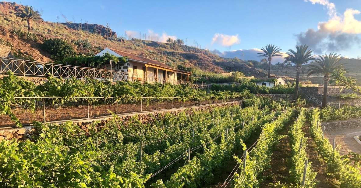 La Gomera: Winery Visit and Tasting Tour - Location and Meeting Point