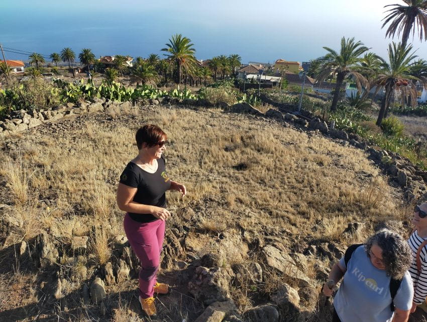 La Gomera: Winery Visit and Tasting Tour - Booking Options