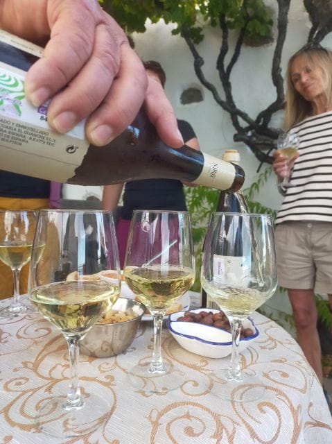 La Gomera: Winery Visit and Tasting Tour - What to Bring