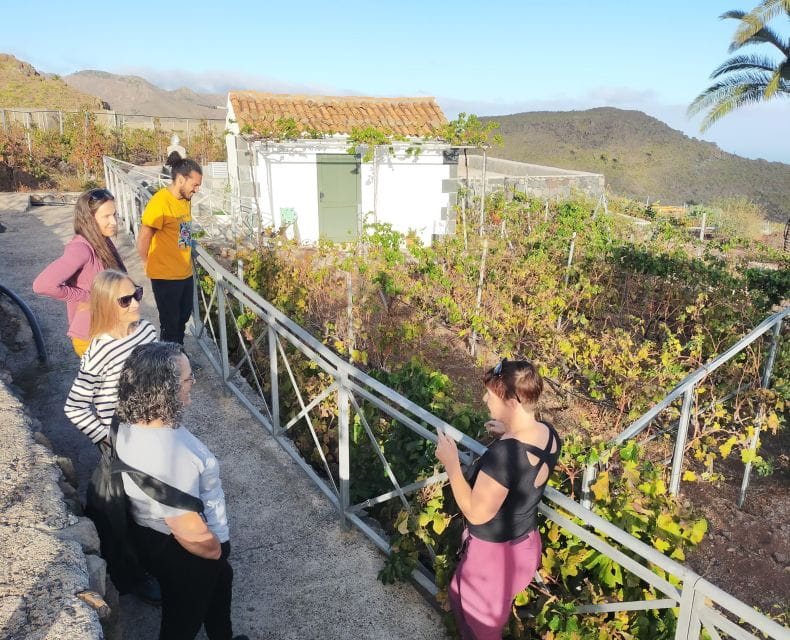 La Gomera: Winery Visit and Tasting Tour - Customer Experiences