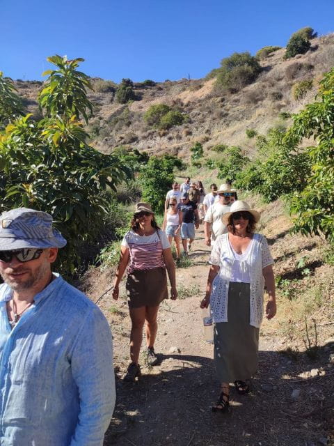 La Herradura Coffee Farm: tour in Europe's only plantation - The Unique Setting of La Herradura Coffee Farm
