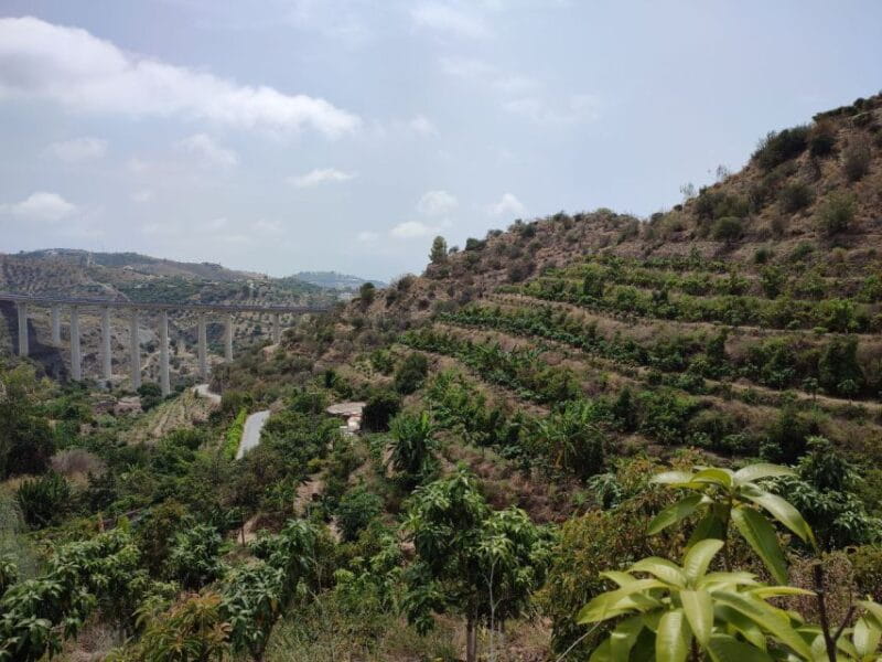 La Herradura Coffee Farm: tour in Europe's only plantation - The Guides and Their Stories