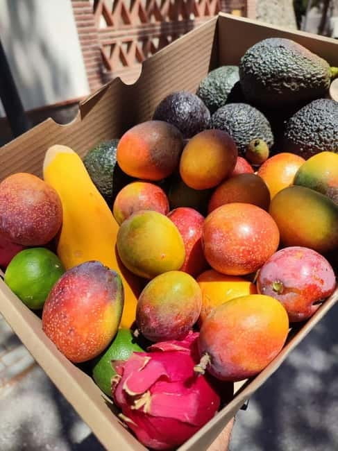 La Herradura: Private Visit to Europe's Only Coffee Farm - Key points / Takeaways