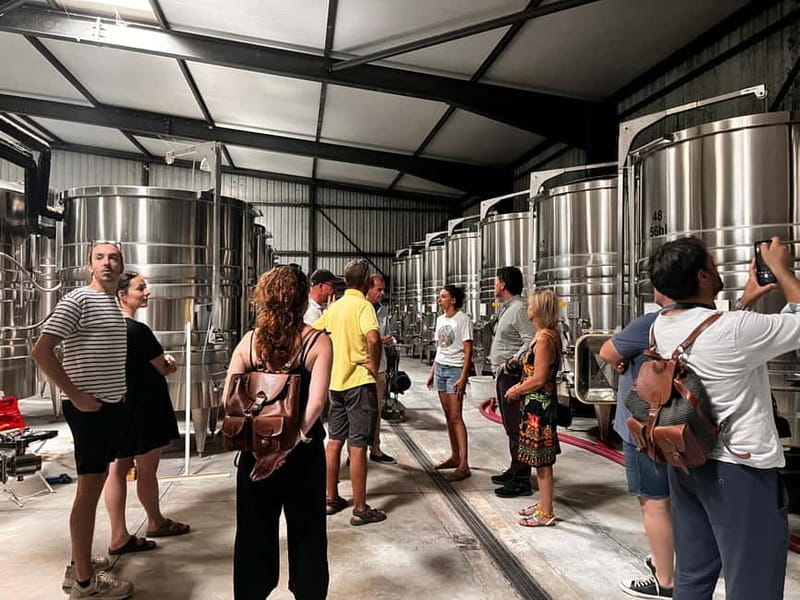 La Londe-les-Maures: Half-Day Wineries Tour with Tastings - Exploring the Wineries and the Scenic Journey