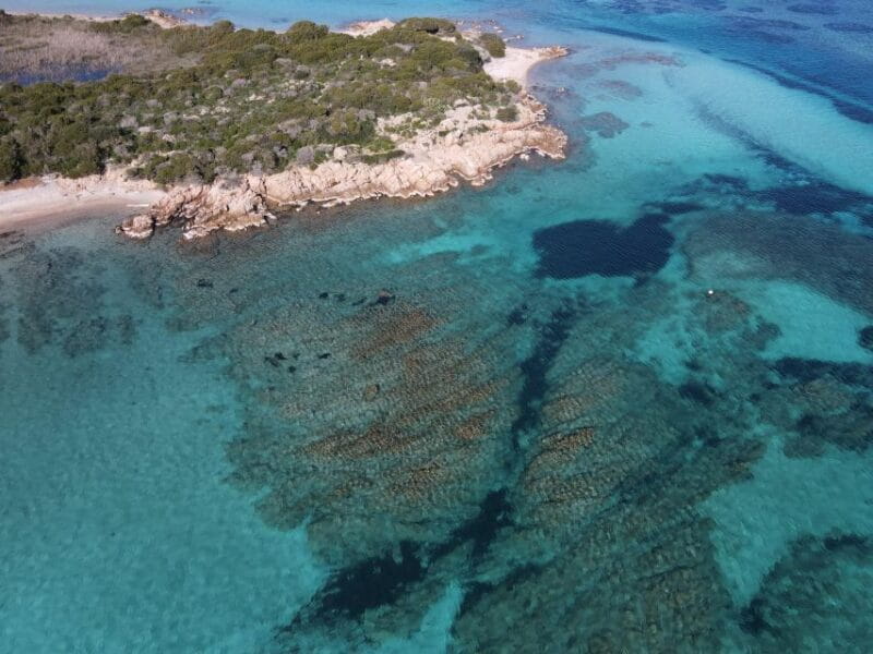 La Maddalena: Archipelago Boat Tour - The Value of the Experience