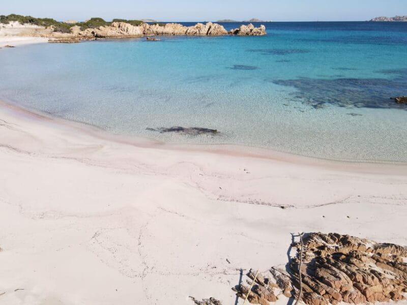 La Maddalena: Archipelago Boat Tour - Final Thoughts