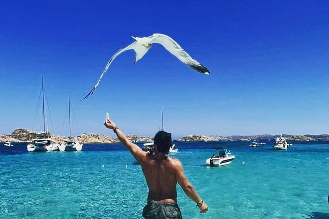 La Maddalena Archipelago Boat Tour with lunch - Key points / Takeaways