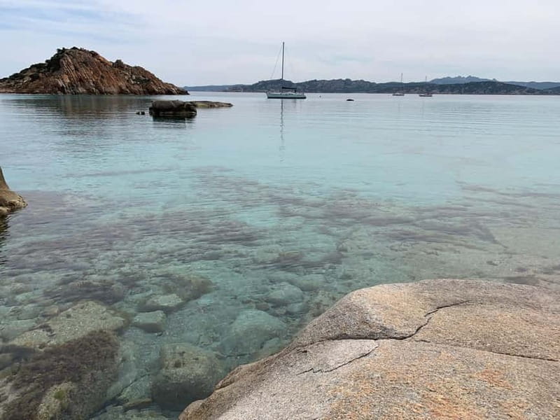 La Maddalena Archipelago: daily sailing tour with lunch - Key Points / Takeaways
