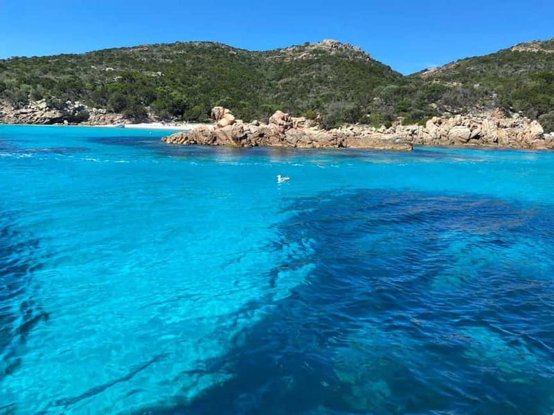 La Maddalena Archipelago: Exclusive tour in a luxury rubber dinghy. - Who Might Love This Experience?