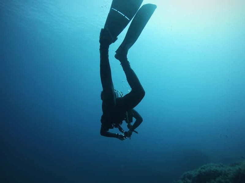 La Maddalena Archipelago & Lavezzi: Adventure Dives trip - A Closer Look at the Experience